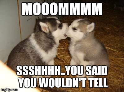 Cute Puppies Meme | MOOOMMMM; SSSHHHH..YOU SAID YOU WOULDN'T TELL | image tagged in memes,cute puppies | made w/ Imgflip meme maker
