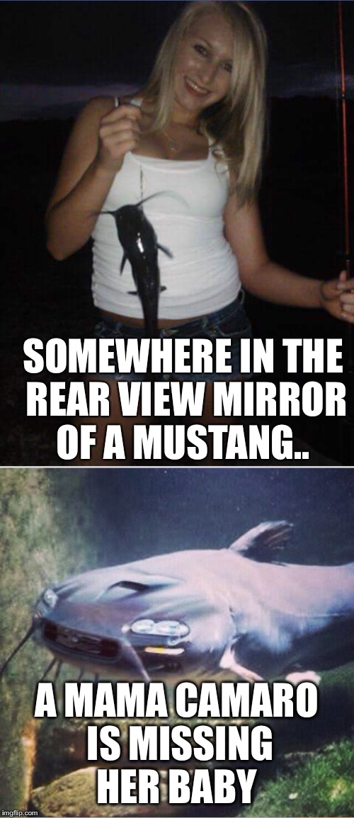 SOMEWHERE IN THE REAR VIEW MIRROR OF A MUSTANG.. A MAMA CAMARO IS MISSING HER BABY | image tagged in mustang,racing,cars,camaro | made w/ Imgflip meme maker