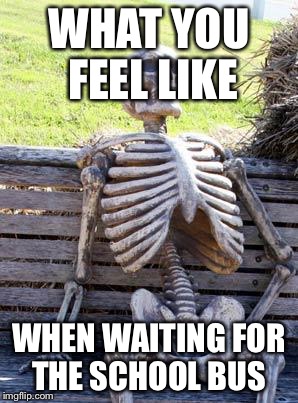 Waiting Skeleton Meme | WHAT YOU FEEL LIKE; WHEN WAITING FOR THE SCHOOL BUS | image tagged in memes,waiting skeleton | made w/ Imgflip meme maker