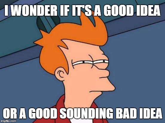 Futurama Fry Meme | I WONDER IF IT'S A GOOD IDEA; OR A GOOD SOUNDING BAD IDEA | image tagged in memes,futurama fry,funny memes | made w/ Imgflip meme maker