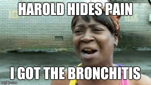 Ain't Nobody Got Time For That | HAROLD HIDES PAIN; I GOT THE BRONCHITIS | image tagged in memes,aint nobody got time for that | made w/ Imgflip meme maker