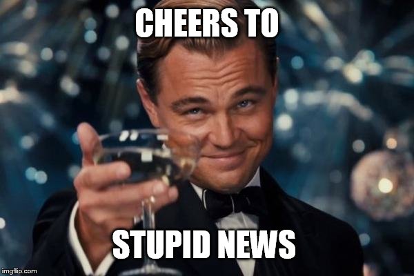 Leonardo Dicaprio Cheers Meme | CHEERS TO STUPID NEWS | image tagged in memes,leonardo dicaprio cheers | made w/ Imgflip meme maker