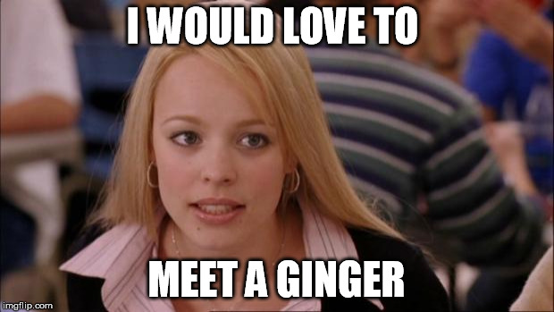 Its Not Going To Happen | I WOULD LOVE TO; MEET A GINGER | image tagged in memes,its not going to happen | made w/ Imgflip meme maker