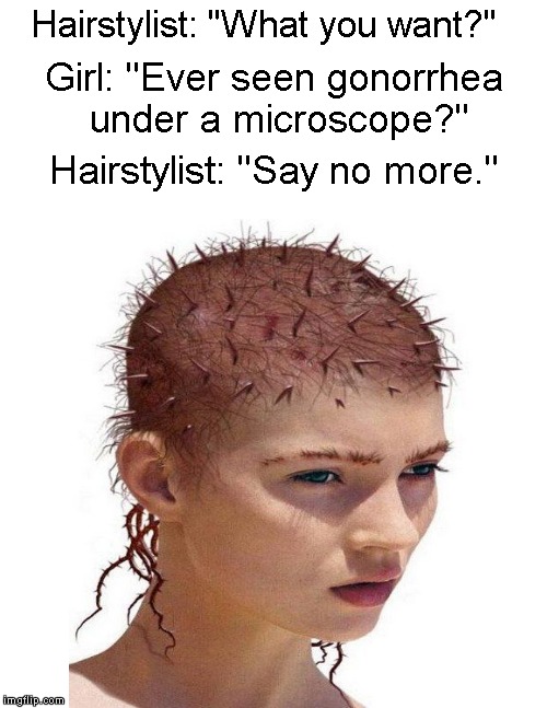 Meanwhile, at the beauty salon.... | Hairstylist: "What you want?"; Girl: "Ever seen gonorrhea under a microscope?"; Hairstylist: "Say no more." | image tagged in hairstyle,haircut,girl,funny memes | made w/ Imgflip meme maker