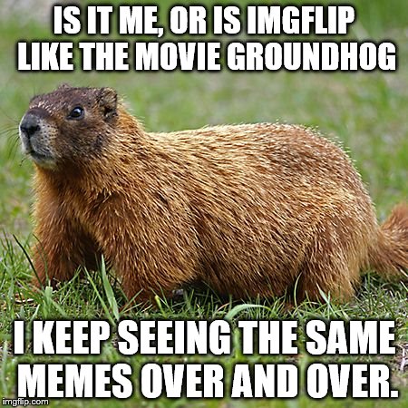 imgflip day | IS IT ME, OR IS IMGFLIP LIKE THE MOVIE GROUNDHOG; I KEEP SEEING THE SAME MEMES OVER AND OVER. | image tagged in groundhog | made w/ Imgflip meme maker