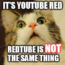 IT'S YOUTUBE RED REDTUBE IS NOT THE SAME THING NOT | made w/ Imgflip meme maker