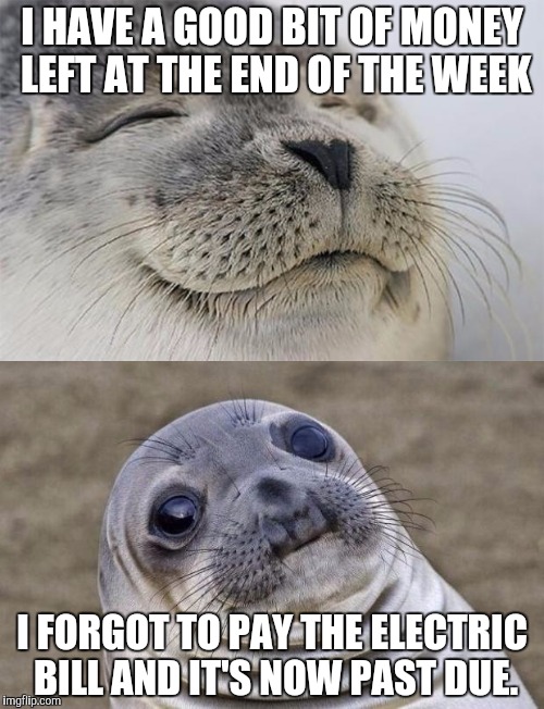 So today, I'm meming from my phone... | I HAVE A GOOD BIT OF MONEY LEFT AT THE END OF THE WEEK; I FORGOT TO PAY THE ELECTRIC BILL AND IT'S NOW PAST DUE. | image tagged in memes,satisfied seal,awkward moment sealion | made w/ Imgflip meme maker