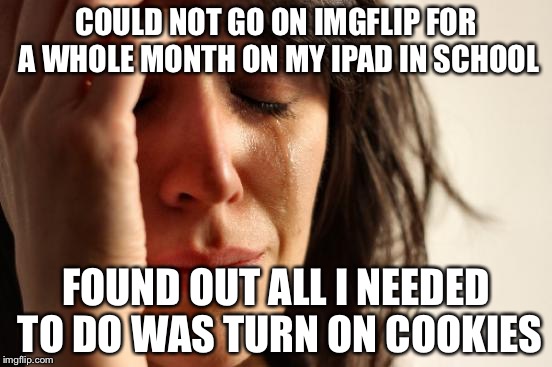 I was thinking I got ban from here but something said turn on cookies and yea, rip | COULD NOT GO ON IMGFLIP FOR A WHOLE MONTH ON MY IPAD IN SCHOOL; FOUND OUT ALL I NEEDED TO DO WAS TURN ON COOKIES | image tagged in memes,first world problems | made w/ Imgflip meme maker