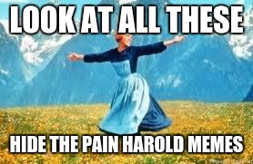 Look At All These Meme | LOOK AT ALL THESE; HIDE THE PAIN HAROLD MEMES | image tagged in memes,look at all these | made w/ Imgflip meme maker