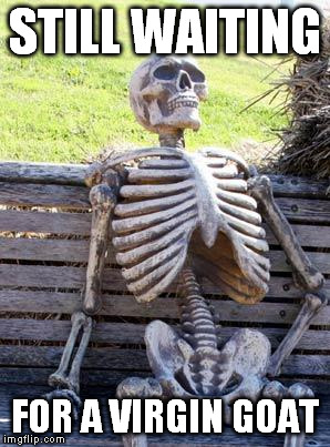 Waiting Skeleton Meme | STILL WAITING FOR A VIRGIN GOAT | image tagged in memes,waiting skeleton | made w/ Imgflip meme maker