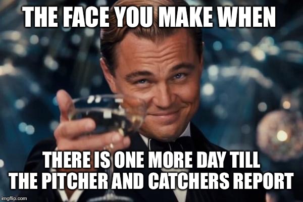 Leonardo Dicaprio Cheers Meme | THE FACE YOU MAKE WHEN; THERE IS ONE MORE DAY TILL THE PITCHER AND CATCHERS REPORT | image tagged in memes,leonardo dicaprio cheers | made w/ Imgflip meme maker