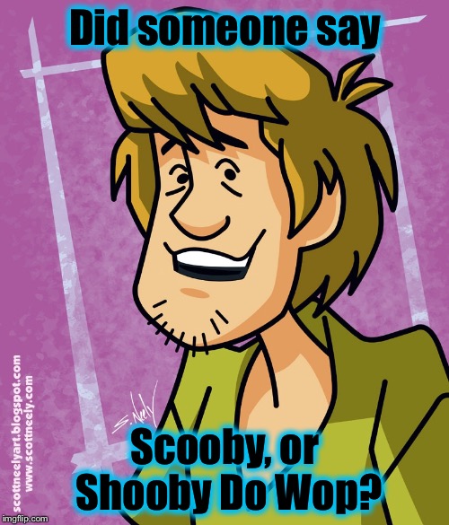 Shaggy | Did someone say Scooby, or Shooby Do Wop? | image tagged in shaggy | made w/ Imgflip meme maker