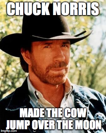 Chuck Norris | CHUCK NORRIS; MADE THE COW JUMP OVER THE MOON | image tagged in chuck norris | made w/ Imgflip meme maker