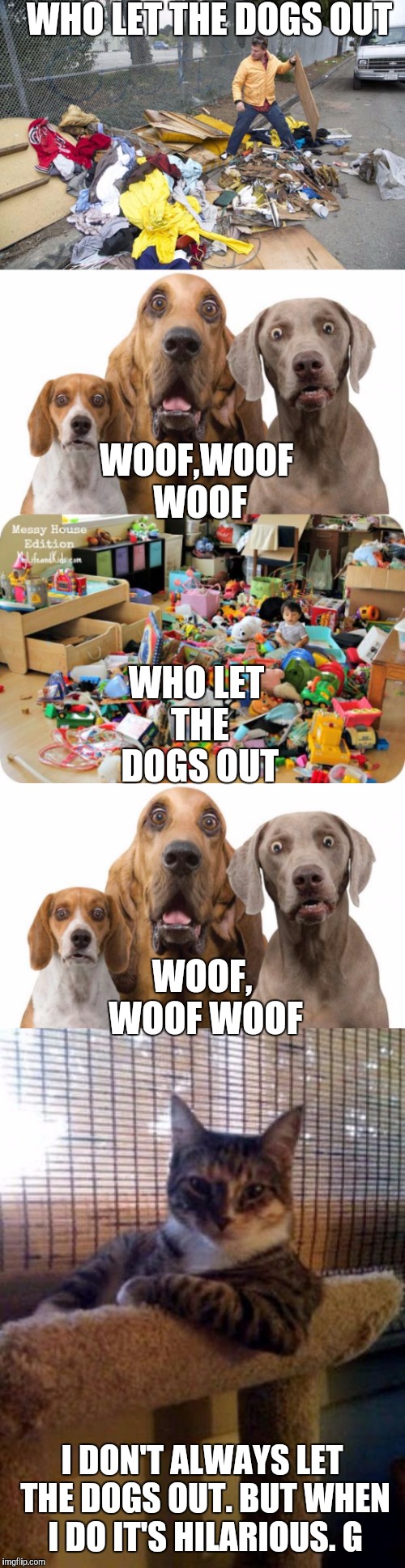 Who Let The Dogs Out | WHO LET THE DOGS OUT; WOOF,WOOF WOOF; WHO LET THE DOGS OUT; WOOF, WOOF WOOF; I DON'T ALWAYS LET THE DOGS OUT. BUT WHEN I DO IT'S HILARIOUS. G | image tagged in funny dogs,funny cats,memes,the most interesting cat in the world | made w/ Imgflip meme maker