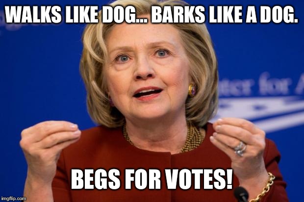 Hillary Clinton | WALKS LIKE DOG... BARKS LIKE A DOG. BEGS FOR VOTES! | image tagged in hillary clinton | made w/ Imgflip meme maker