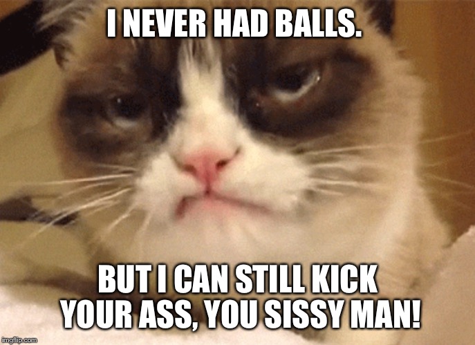 DISAPPROVING GRUMPY CAT | I NEVER HAD BALLS. BUT I CAN STILL KICK YOUR ASS, YOU SISSY MAN! | image tagged in disapproving grumpy cat | made w/ Imgflip meme maker