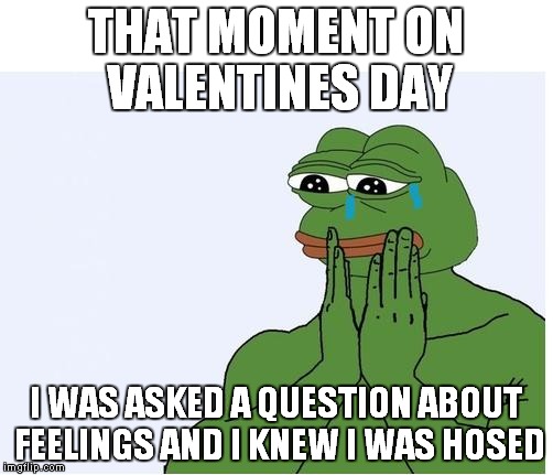 my valentines meme 2 (belated) | THAT MOMENT ON VALENTINES DAY; I WAS ASKED A QUESTION ABOUT FEELINGS AND I KNEW I WAS HOSED | image tagged in sad frog feelings | made w/ Imgflip meme maker