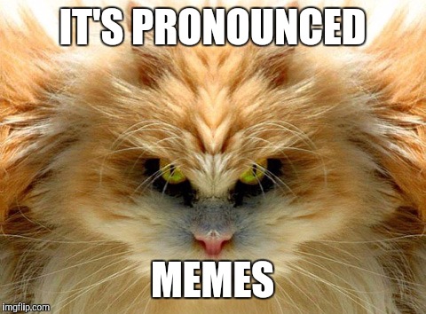 IT'S PRONOUNCED MEMES | made w/ Imgflip meme maker