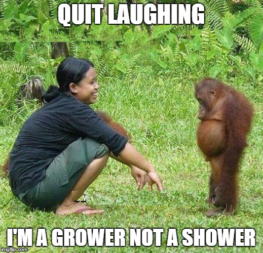 Grower | QUIT LAUGHING; I'M A GROWER NOT A SHOWER | image tagged in monkey,funny,funny memes,penis,ape,best meme | made w/ Imgflip meme maker