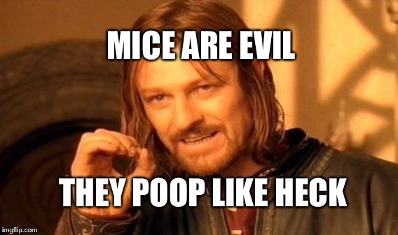 One Does Not Simply Meme | MICE ARE EVIL; THEY POOP LIKE HECK | image tagged in memes,one does not simply | made w/ Imgflip meme maker