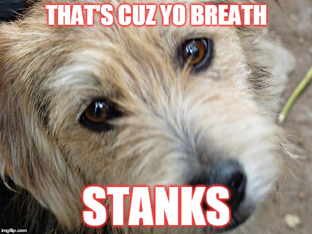 THAT'S CUZ YO BREATH STANKS | made w/ Imgflip meme maker