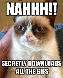 Grumpy Cat Happy | NAHHH!! SECRETLY DOWNLOADS ALL THE GIFS | image tagged in grumpy cat smile | made w/ Imgflip meme maker