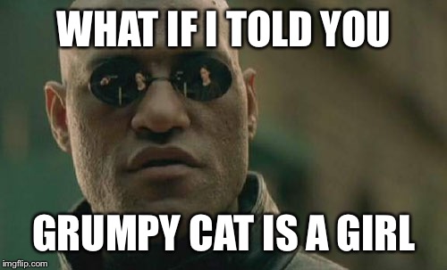 Matrix Morpheus Meme | WHAT IF I TOLD YOU GRUMPY CAT IS A GIRL | image tagged in memes,matrix morpheus | made w/ Imgflip meme maker