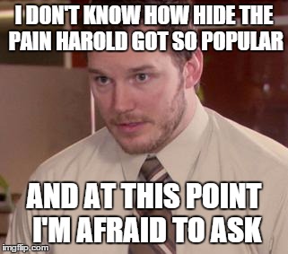 Afraid To Ask Andy (Closeup) Meme | I DON'T KNOW HOW HIDE THE PAIN HAROLD GOT SO POPULAR; AND AT THIS POINT I'M AFRAID TO ASK | image tagged in memes,afraid to ask andy closeup | made w/ Imgflip meme maker