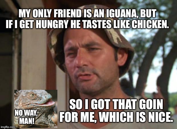 So I Got That Goin For Me Which Is Nice | MY ONLY FRIEND IS AN IGUANA, BUT IF I GET HUNGRY HE TASTES LIKE CHICKEN. SO I GOT THAT GOIN FOR ME, WHICH IS NICE. NO WAY, MAN! | image tagged in memes,so i got that goin for me which is nice | made w/ Imgflip meme maker