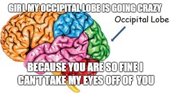 GIRL MY OCCIPITAL LOBE IS GOING CRAZY; BECAUSE YOU ARE SO FINE I CAN'T TAKE MY EYES OFF OF  YOU | image tagged in google images | made w/ Imgflip meme maker