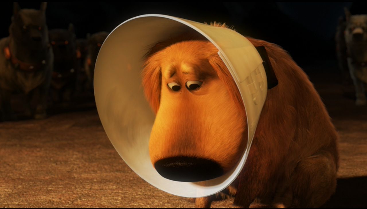 High Quality Doug from Up - Cone of Shame Blank Meme Template