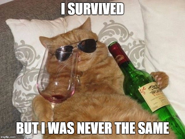 I SURVIVED BUT I WAS NEVER THE SAME | made w/ Imgflip meme maker