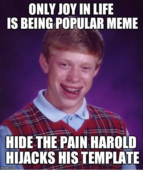 Bad Luck Brian Meme | ONLY JOY IN LIFE IS BEING POPULAR MEME HIDE THE PAIN HAROLD HIJACKS HIS TEMPLATE | image tagged in memes,bad luck brian | made w/ Imgflip meme maker