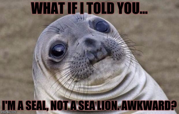 Awkward Moment Sealion | WHAT IF I TOLD YOU... I'M A SEAL, NOT A SEA LION. AWKWARD? | image tagged in memes,awkward moment sealion | made w/ Imgflip meme maker