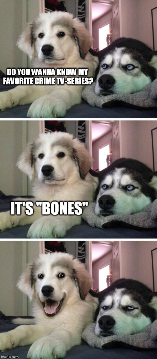 bad pun puppy | DO YOU WANNA KNOW MY FAVORITE CRIME TV-SERIES? IT'S "BONES" | image tagged in bad pun puppy | made w/ Imgflip meme maker