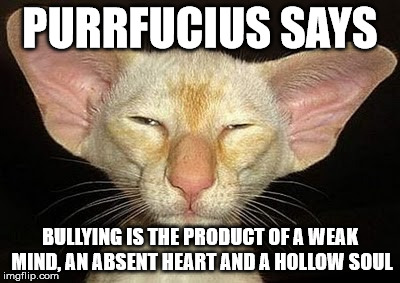 Purrfucius Says something not funny | PURRFUCIUS SAYS; BULLYING IS THE PRODUCT OF A WEAK MIND, AN ABSENT HEART AND A HOLLOW SOUL | image tagged in purrfucius says,bullying,bully,antibullying,cyberbullying,say no to bullies | made w/ Imgflip meme maker