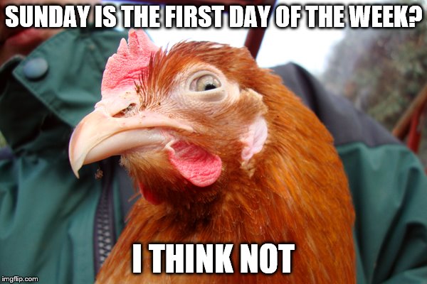 Dubious Chicken | SUNDAY IS THE FIRST DAY OF THE WEEK? I THINK NOT | image tagged in dubious chicken,chicken,false,kfc,bekkkerrrkkk | made w/ Imgflip meme maker