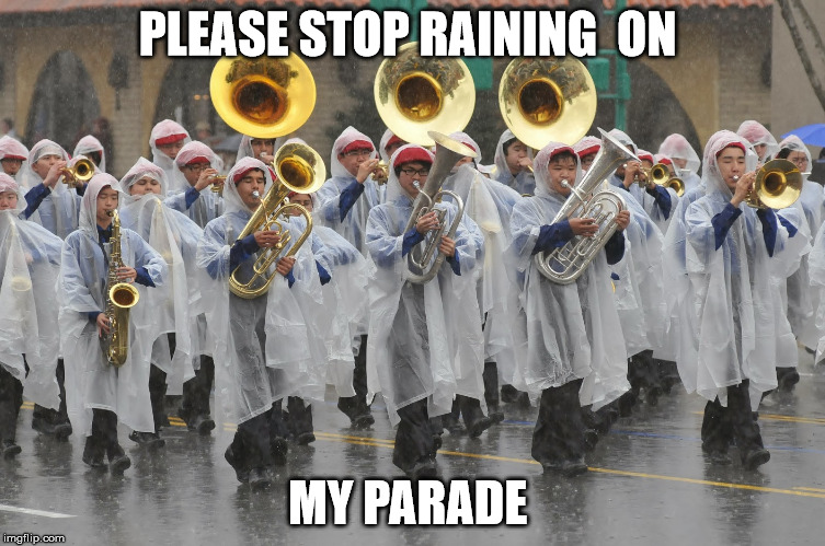PLEASE STOP RAINING  ON MY PARADE | image tagged in parade | made w/ Imgflip meme maker