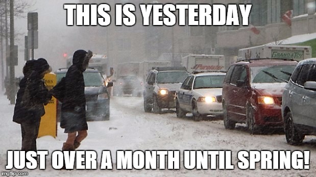 Worst snow fall day in Ottawa since 1947 | THIS IS YESTERDAY; JUST OVER A MONTH UNTIL SPRING! | image tagged in winter storm,spring | made w/ Imgflip meme maker