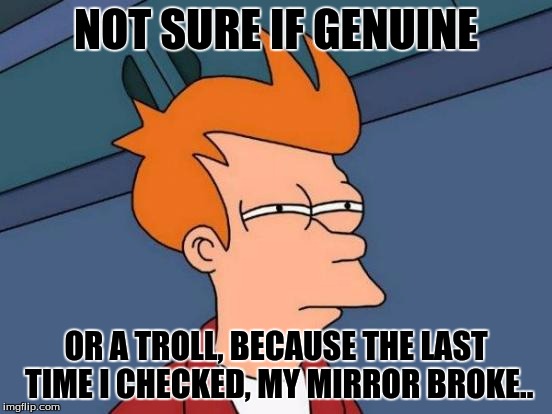 Futurama Fry Meme | NOT SURE IF GENUINE OR A TROLL, BECAUSE THE LAST TIME I CHECKED, MY MIRROR BROKE.. | image tagged in memes,futurama fry | made w/ Imgflip meme maker