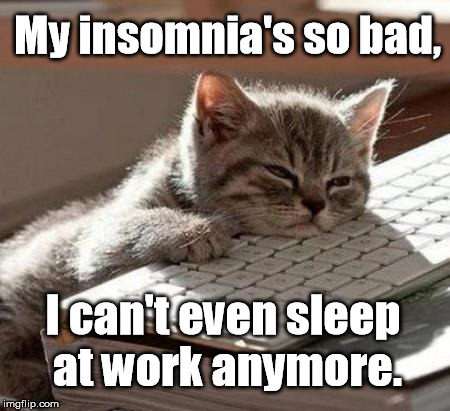 A few more meetings should take care of it... | My insomnia's so bad, I can't even sleep at work anymore. | image tagged in tired cat,sleepy kitty,insomnia,so tired,sleepy,work | made w/ Imgflip meme maker