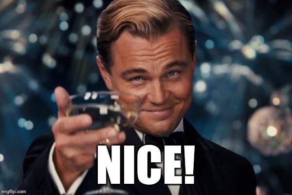 Leonardo Dicaprio Cheers Meme | NICE! | image tagged in memes,leonardo dicaprio cheers | made w/ Imgflip meme maker