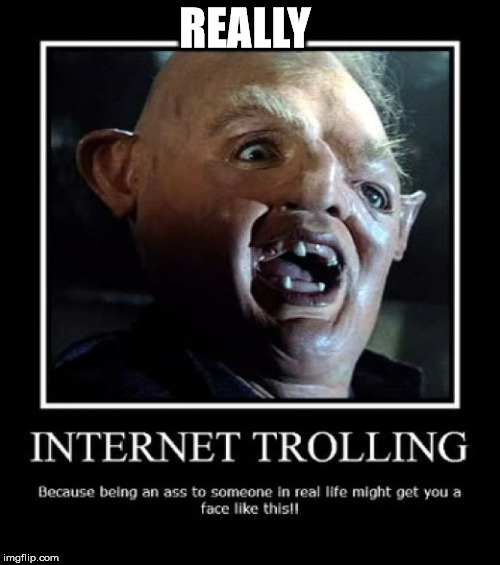 intrnet troll | REALLY | image tagged in intrnet troll | made w/ Imgflip meme maker