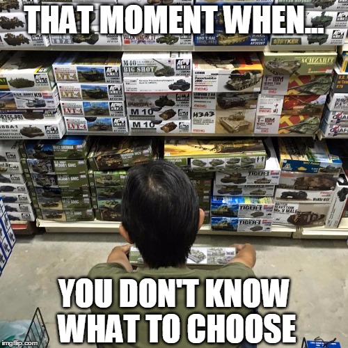 don't know what to choose | THAT MOMENT WHEN... YOU DON'T KNOW WHAT TO CHOOSE | image tagged in meme,memes,scale,modeler,choises,decisions | made w/ Imgflip meme maker