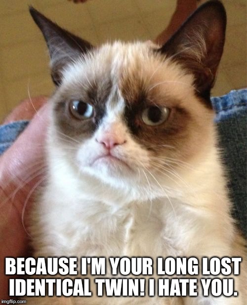 Grumpy Cat Meme | BECAUSE I'M YOUR LONG LOST IDENTICAL TWIN! I HATE YOU. | image tagged in memes,grumpy cat | made w/ Imgflip meme maker