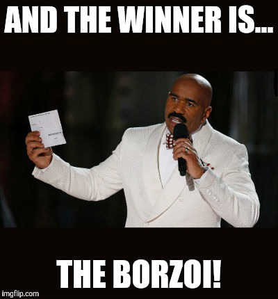 Wrong Answer Steve Harvey | AND THE WINNER IS... THE BORZOI! | image tagged in wrong answer steve harvey | made w/ Imgflip meme maker