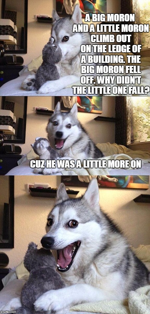 Bad Pun Dog | A BIG MORON AND A LITTLE MORON CLIMB OUT ON THE LEDGE OF A BUILDING. THE BIG MORON FELL OFF. WHY DIDN'T THE LITTLE ONE FALL? CUZ HE WAS A LITTLE MORE ON | image tagged in memes,bad pun dog | made w/ Imgflip meme maker