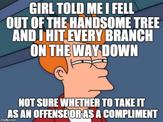 Futurama Fry | GIRL TOLD ME I FELL OUT OF THE HANDSOME TREE; AND I HIT EVERY BRANCH ON THE WAY DOWN; NOT SURE WHETHER TO TAKE IT AS AN OFFENSE OR AS A COMPLIMENT | image tagged in memes,futurama fry | made w/ Imgflip meme maker
