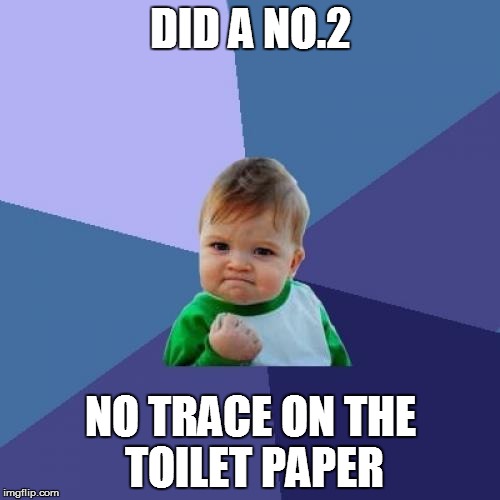 Success Kid | DID A NO.2; NO TRACE ON THE TOILET PAPER | image tagged in memes,success kid | made w/ Imgflip meme maker