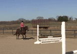 horse crashing through jump | image tagged in gifs | made w/ Imgflip video-to-gif maker